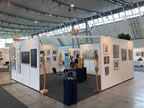 Arte Fusion Stuttgart